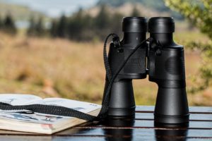 Best Places for Birding in Green Bay in 2019