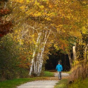 Fall foliage at our Green Bay Bed and Breakfast