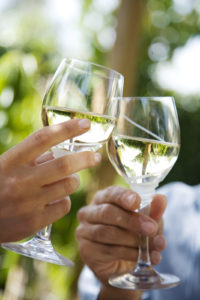 Go Wine Tasting at Green Bay Wineries This Summer